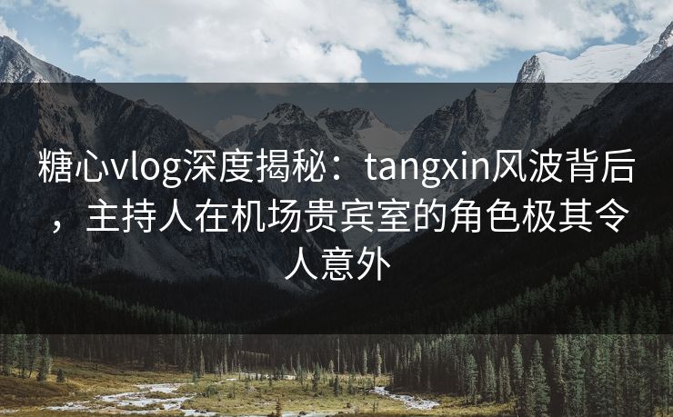 糖心vlog深度揭秘：tangxin风波背后，主持人在机场贵宾室的角色极其令人意外  第1张