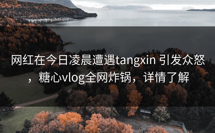 网红在今日凌晨遭遇tangxin 引发众怒，糖心vlog全网炸锅，详情了解